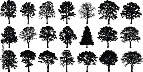 Large Collection of Detailed Tree Silhouettes, Diverse Vector Set Including Deciduous, Coniferous, and Oak Species, Nature and Forest Graphic Element Pack, Environmental Theme