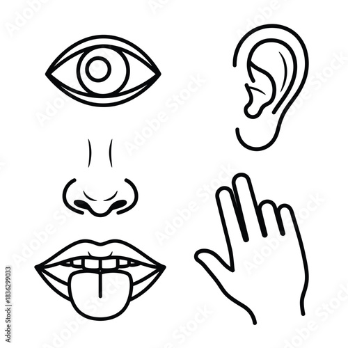Black and white icons representing the five senses