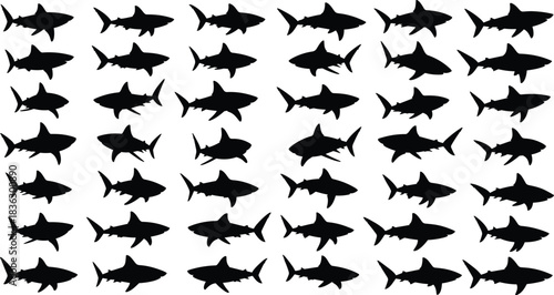 Large collection of black shark silhouettes, vector set of marine predators, swimming ocean fish icons, and dangerous animal shapes isolated on white background.