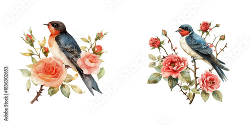 swallow and flowers watercolor vector illustration