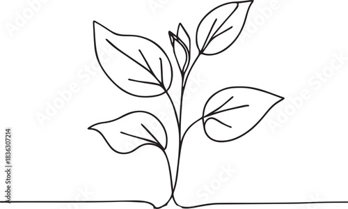 Minimalist one line drawing of a sprouting plant with leaves vector illustration.
