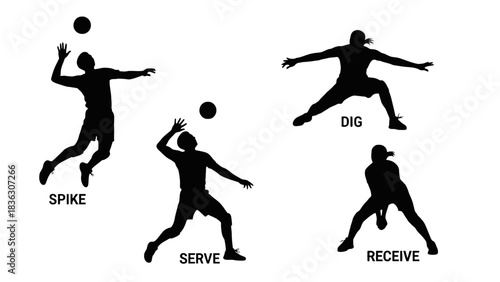 Silhouettes illustrating fundamental volleyball actions: spike, serve, dig, and receive.