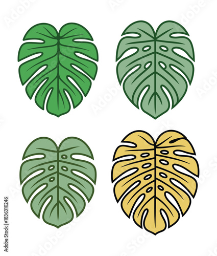 Tropical monstera palm leaf nature and botany colorful flat vector icons set