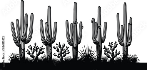 Desert landscape silhouette vector illustration with saguaro and prickly pear cacti, yucca plants, border design element graphic isolated on white