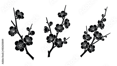 Black silhouettes of plum blossom branches flower black and white