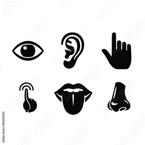 Six Black Icons Representing the Five Senses and Touch on White Background