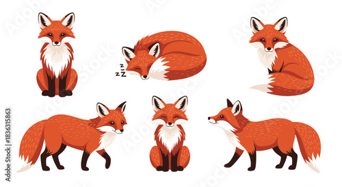 A collection of cute cartoon red foxes depicted in various poses, including sitting, sleeping, and walking, on a clean white background.