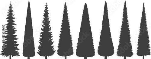 Cypress tree silhouettes a collection of evergreen trees in various shapes and sizes