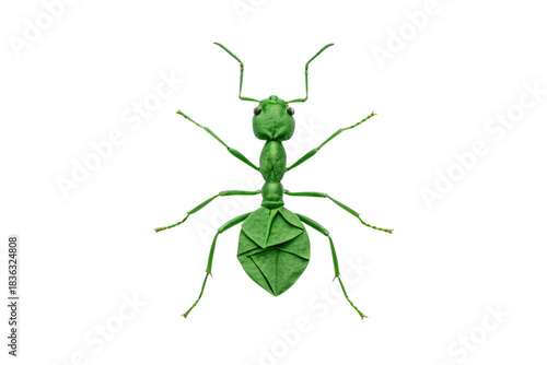 Green origami ant top view six legs antennae detailed paper craft isolated on a transparent background