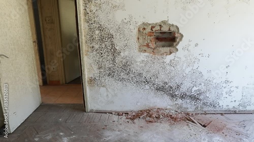 Handheld footage with mold heavy infesting the walls of an old apartment in a block of flats.