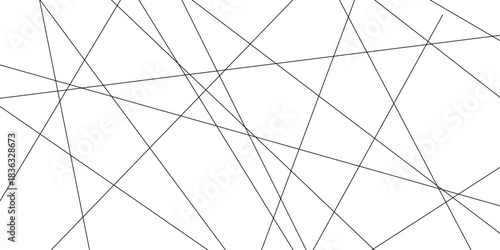 Abstract line background. abstract black lines with white background creative. The wires on white background. Subtle intersecting lines forming geometric shapes on a neutral background.