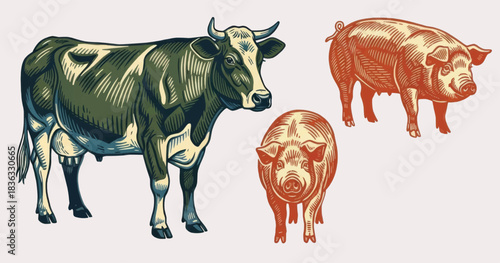Hand drawn vintage illustration of cow and pigs. detailed livestock animal illustration in vector painting illustration style