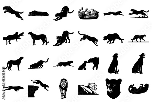 Artistic Cheetah Silhouettes in Action and Rest animal