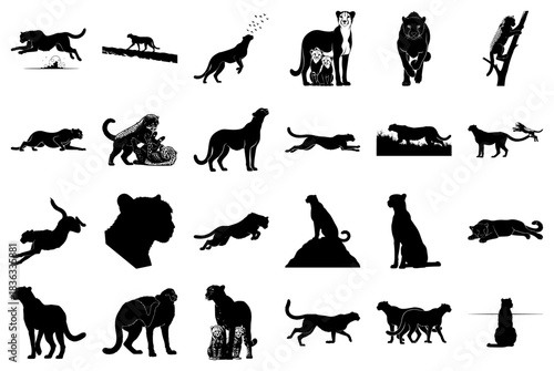 Diverse Cheetah Silhouettes in Dynamic Poses animal
