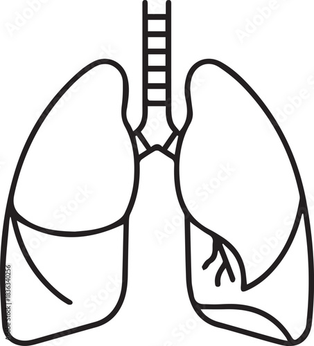 Medical vector illustration outline drawing of human heart anatomy with line art design for health care symbol