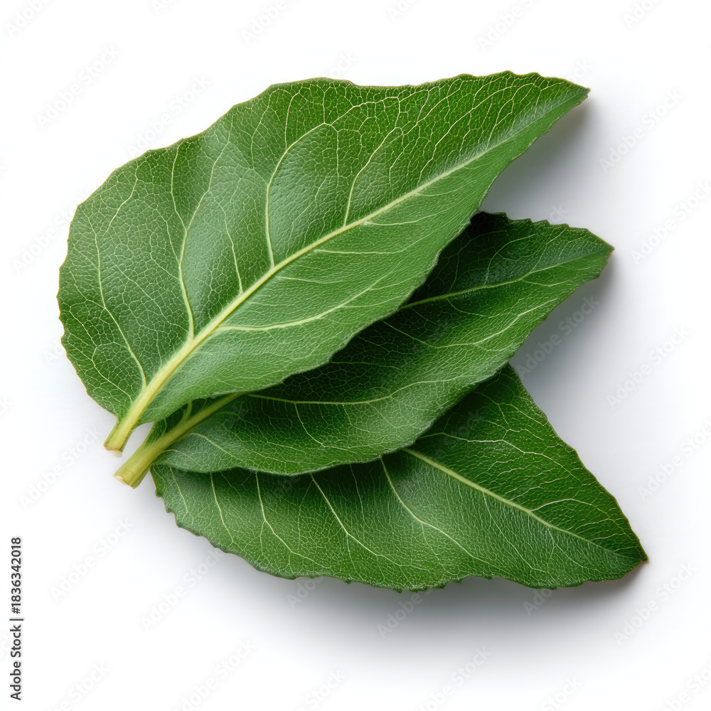 Obraz premium Three green vegetable leaves with visible veins, isolated on white background, fresh and natural appearance