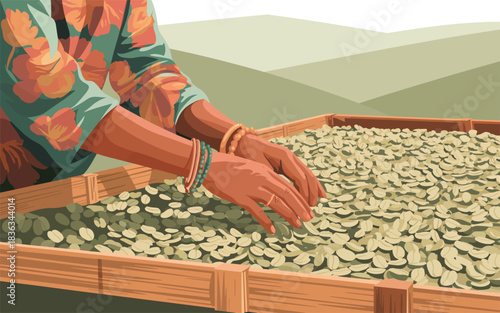 Hands tending to dried green coffee beans laid out on a bamboo drying bed, showcasing a step in coffee production