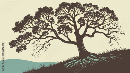 Silhouette of a tree with wide branches and roots exposed.