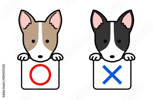 マルバツ、正解・不正解の札を持つ犬