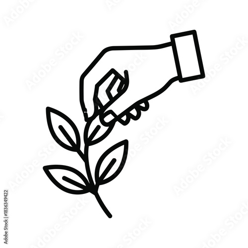 Hand Holding Plant Stem with Leaves Icon