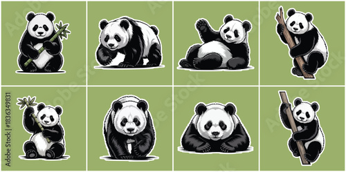 Adorable Giant Panda Icon Set with Cute Black and White Bears Holding Bamboo, Sitting, Playing and Relaxing in Playful Wildlife Conservation Poses for Modern Creative Design