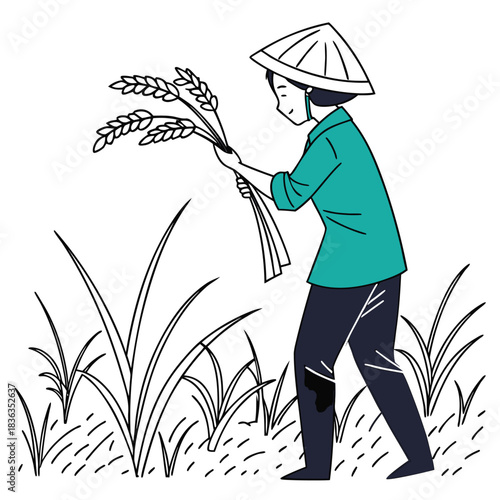Asian farmer holding rice stalk wearing conical hat in a cultivated field works hard