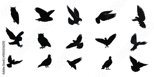 Collection of various bird silhouettes including owls and pigeons in different poses and positions