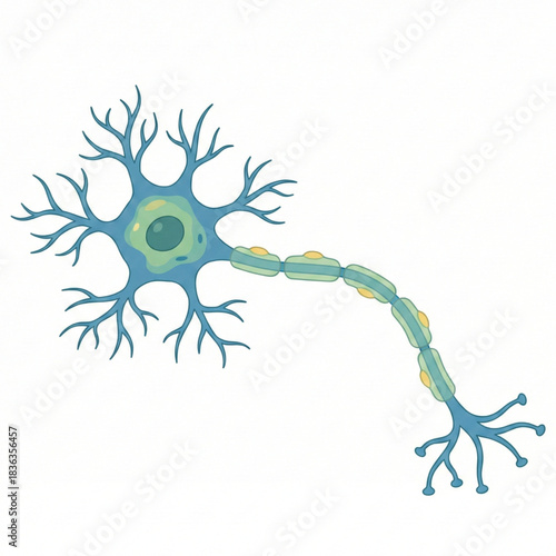 Illustrative neuron cell for educational presentations, a vibrant science concept for biology textbooks and modern medical research displays