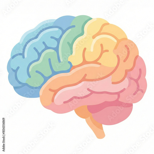 Vibrant human brain illustration for medical education and neuroscience research featuring distinct lobes in pastel colors on a clean white backdrop