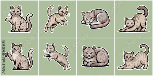 Cute Domestic Tabby Cat and Kitten Character Pose Collection Featuring Playing Sitting Stretching and Resting Actions for Pet Store Promotion Children Content and Animal Lifestyle Design