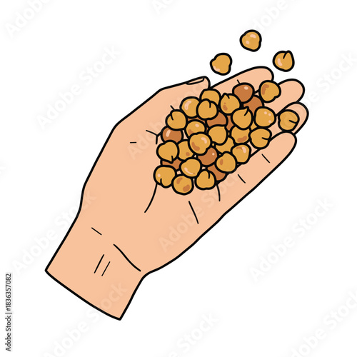 Hand holding chickpeas with scattered seeds on white background  