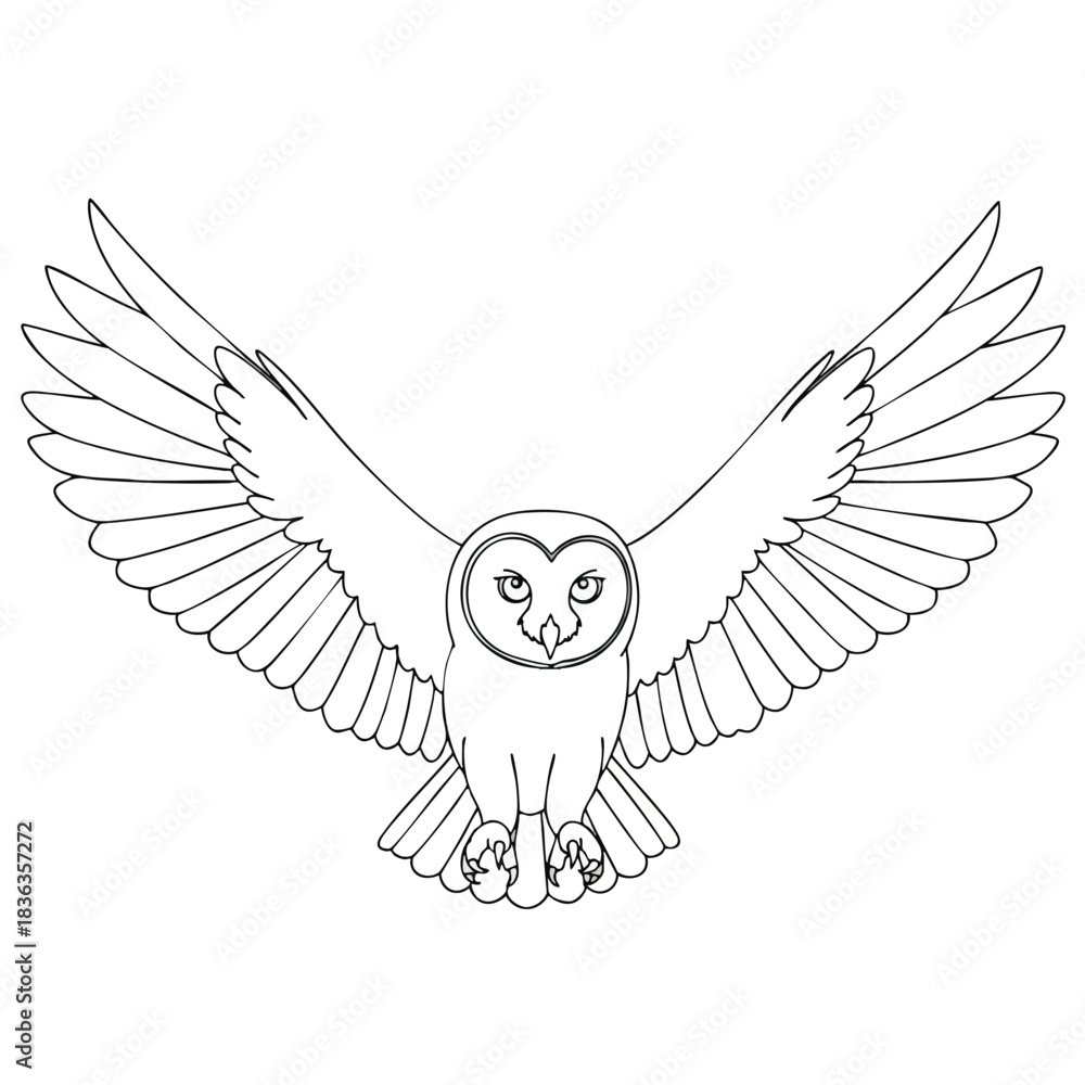 Fototapeta premium Outline Drawing of a Majestic Owl in Flight with Wings Spread Wide