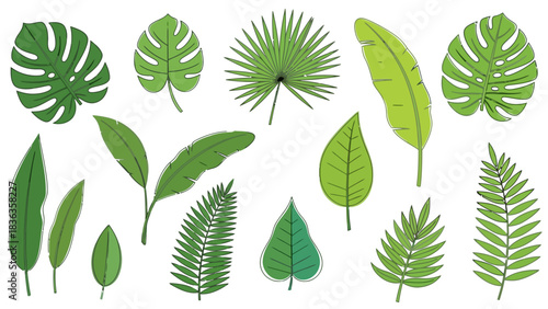 Assortment of green tropical leaves with sketched outlines