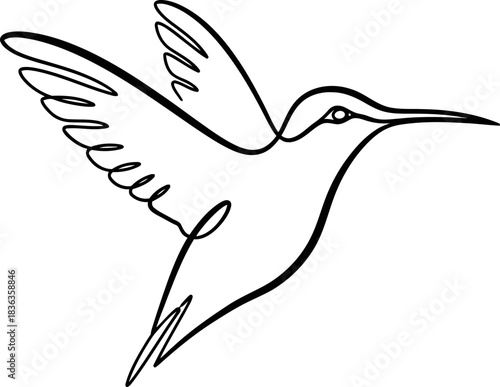 Elegant Hummingbird Illustration A Minimalist One Line Drawing for Nature and Art Lovers