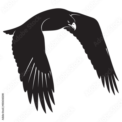 Silhouette of a soaring eagle powerful bird of prey in flight vector illustr