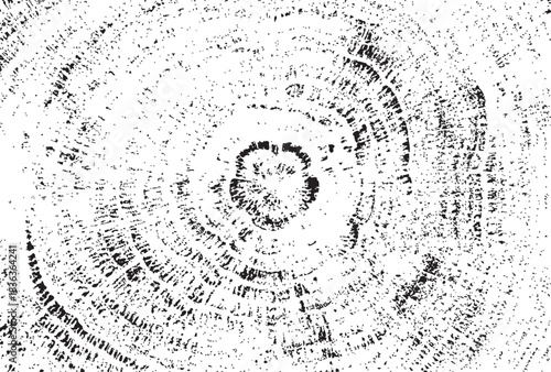 Tree Rings Illustration Black and White Cross Section Vector