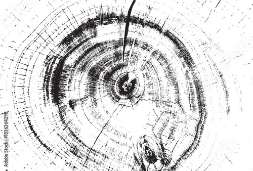 Tree Rings Vector Illustration with Cracks and Imperfections