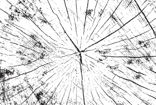Wood Texture Vector Illustration Detailed Tree Ring Pattern