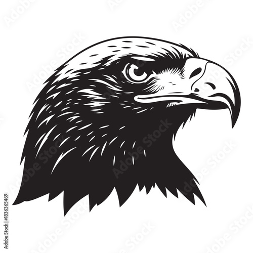 Eagle head illustration detailed vector art for sports logos and emblem desi