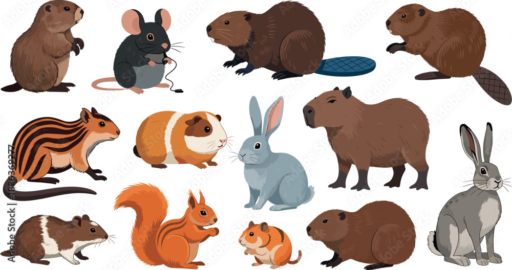Obraz premium Rodent animals collection illustration including beaver capybara squirrel chipmunk guinea pig mouse rabbit and various small mammals