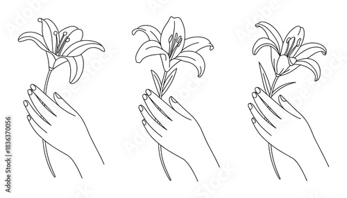 Three line art illustrations of hands holding lily flowers on a white background floral
