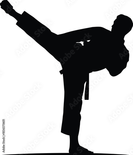 Black silhouette of a person performing a high side kick in martial arts