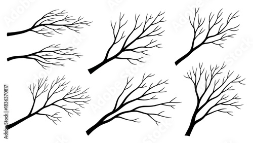 Set of bare tree branches in a stylized artistic illustration