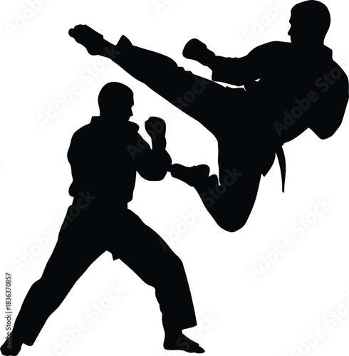 Two black silhouettes of martial artists in combat poses