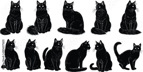 Collection of various sitting and standing black cat silhouettes vector illustration drawing set feline animal pet domestic mammal different poses graphic