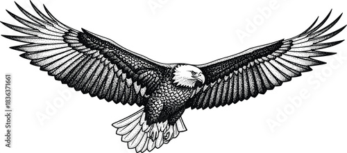 Detailed Black and White Flying Bald Eagle Vector Illustration, Majestic American Predator Bird with Spread Wings, Vintage Stipple Dot Work Style, cad drawing flat vector illustration