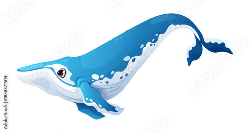 Cartoon whale character swimming underwater with friendly expression. Isolated vector giant sperm whale, ocean inhabitant. Marine mammal animal personage with blue curve body white belly and spots