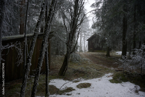 Photography Nordic Forest Cabin in Frost