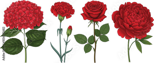 Realistic vector illustration of assorted red flowers, including hydrangea, carnation, rose, and peony, with detailed petals and leaves.