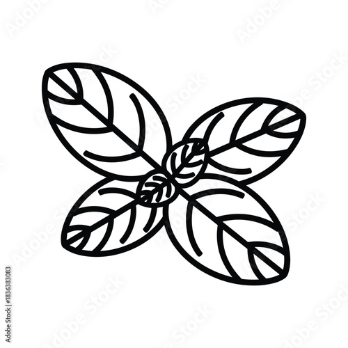 Basil Leaves Sprig Outline Icon